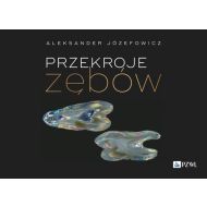 Przekroje zębów - 01509b00218ks.jpg