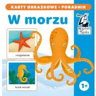 Kapitan Nauka W morzu karty obrazkowe + poradnik: W morzu (karty obrazkowe + poradnik) - 15549402155ks.jpg