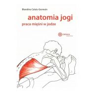 Anatomia jogi praca mięśni w jodze - 22703802894ks.jpg