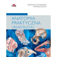 Anatomia praktyczna Układ ruchu - 23265003649ks.jpg