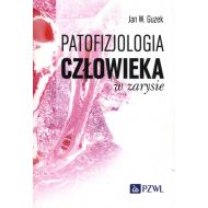 Patofizjologia człowieka w zarysie - 25329b00218ks.jpg