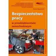 Bezpieczeństwo pracy w przedsiębiorstwie samochodowym - 28586a01200ks.jpg