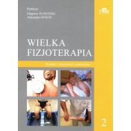 Wielka Fizjoterapia Tom 2 - 33534a03649ks.jpg