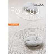 Potęga teraźniejszości - 519339i.jpg