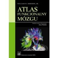 Atlas funkcjonalny mózgu - 519597i.jpg