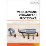 Modelowanie organizacji procesowej - 578895i.jpg