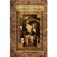 Zielnik Czarodziejski - 59884b04864ks.jpg