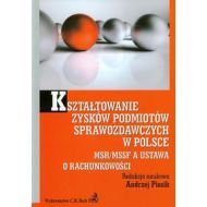 Kształtowanie zysków podmiotów sprawozdawczych w Polsce - 625297i.jpg