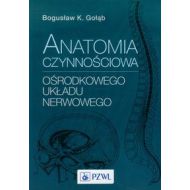 Anatomia czynnościowa ośrodkowego układu nerwowego - 644063i.jpg