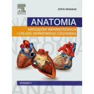 Anatomia narządów wewnętrznych i układu nerwowego człowieka - 705726i.jpg