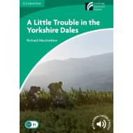 A Little Trouble in the Yorkshire Dales - 796562i.jpg