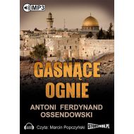 Gasnące ognie - 796665i.jpg