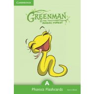 Greenman and the Magic Forest A Phonics Flashcards (Pack of 38) - 808832i.jpg