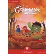 Greenman and the Magic Forest B Flashcards - 808840i.jpg