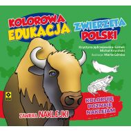 Kolorowa edukacja Zwierzęta Polski - naklejka - 816244i.jpg