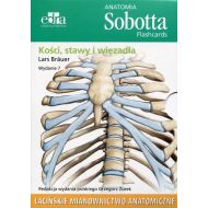 Anatomia Sobotta Flashcards Kości stawy i więzadła: Łacińskie mianownictwo anatomiczne - 820719i.jpg