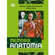 Memorix Anatomia - 831816i.jpg