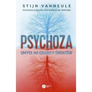 Psychoza: Umysł na granicy światów - 85245b02843ks.jpg