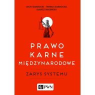 Prawo karne międzynarodowe - 877995i.jpg