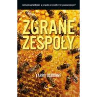 Zgrane zespoły: jak zbudować jedność w zespole przywódczym i pracowniczym? - 883170i.jpg