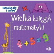 Wielka księga matematyki - 902020i.jpg