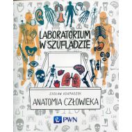 Laboratorium w szufladzie Anatomia człowieka - 907849i.jpg