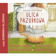 Ulica Pazurkow - 92966a01190ks.jpg