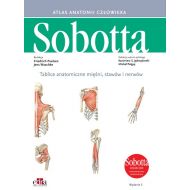 Tablice anatomiczne mięśni, stawów i nerwów. Angielskie mianownictwo: Atlas anatomii człowieka Sobotta. - 99253703649ks.jpg