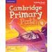Cambridge Primary Path Level 4 Activity Book with Practice Extra