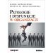 Patologie i dysfunkcje w organizacji