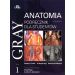 Gray Anatomia Podręcznik dla studentów Tom 1
