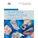 Anatomia praktyczna Układ ruchu