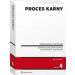 Proces karny