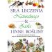 Siła leczenia naturalnego &amp;amp;amp; zioła i inne rośliny