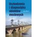 Uszkodzenia i diagnostyka obiektów mostowych