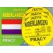 Język niderlandzki dla planujących podjęcie pracy + CD