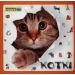Poznajemy zwierzęta Kotki
