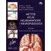 Atlas neuroanatomii i neurofizjologii Nettera