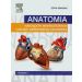 Anatomia narządów wewnętrznych i układu nerwowego człowieka