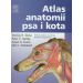 Atlas anatomii psa i kota