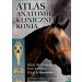 Atlas anatomii klinicznej konia