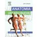 Anatomia układu ruchu