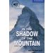In the Shadow of the Mountain Level 5