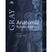 Anatomia Gray Pytania testowe Tom 1-3