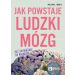 Jak powstaje ludzki mózg Od zapłodnienia do narodzin