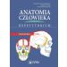Anatomia człowieka Repetytorium Ćwiczenia