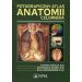 Fotograficzny atlas anatomii człowieka