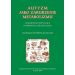 Autyzm jako zaburzenie metabolizmu