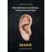 Neurobiologiczne pods. rozwoju poznawczego. Słuch